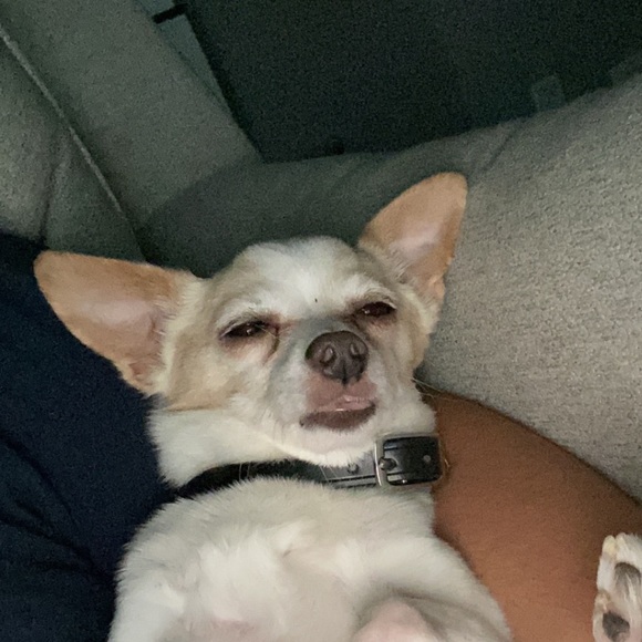 Meet your Posher, Joel - Picture 1 of 1